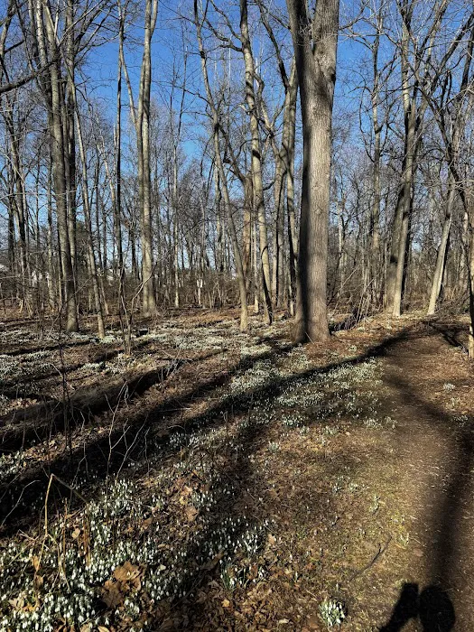 Rahway River Parkway - Mohawk Section Picture 7