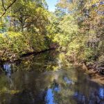 Rahway River Parkway - Mohawk Section