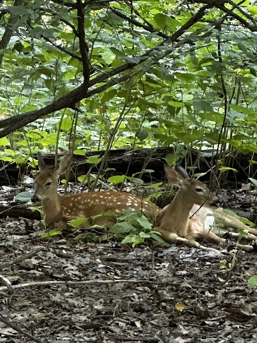 Rahway River Parkway Picture 3