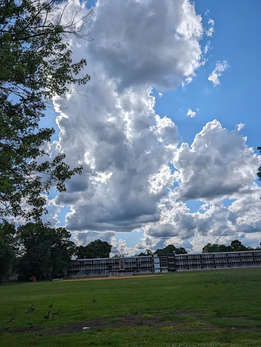 Madison Avenue Park - Greenfield Picture 3
