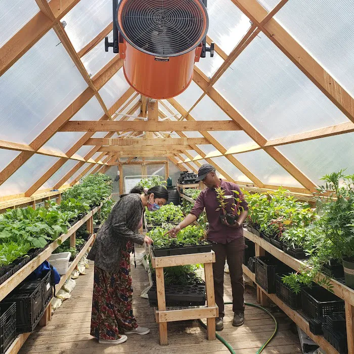 Down Bottom Farms Picture 1