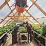 Down Bottom Farms