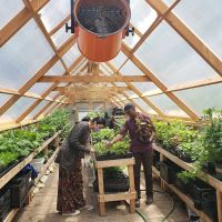 Down Bottom Farms ico