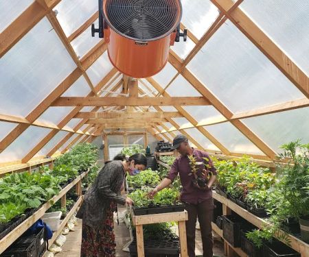 Down Bottom Farms