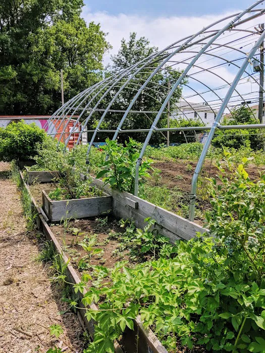 Down Bottom Farms Picture 2