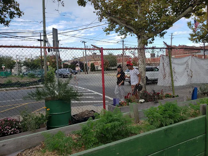 Down Bottom Farms Picture 3