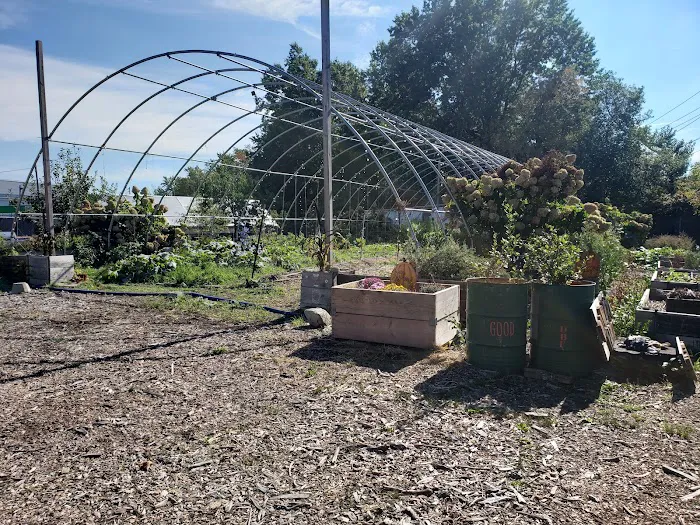 Down Bottom Farms Picture 8