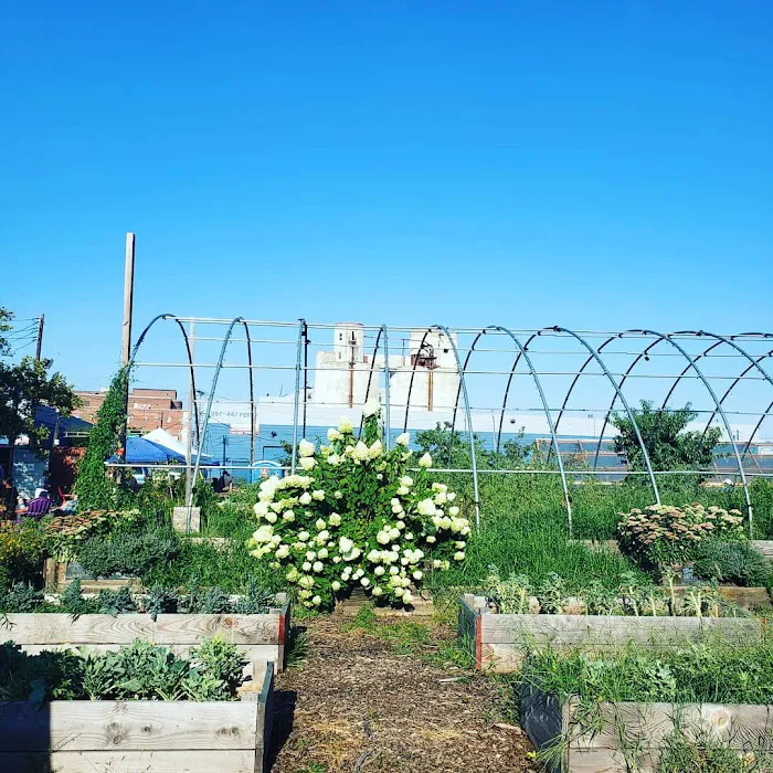 Down Bottom Farms Picture 4