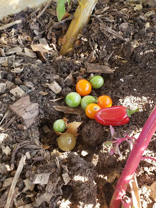 Down Bottom Farms Picture 6