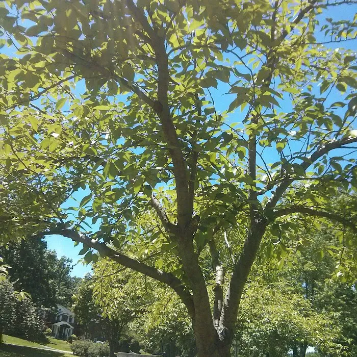 Veterans Memorial Park Picture 7