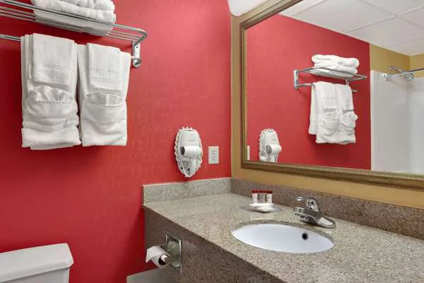Ramada by Wyndham East Orange Picture 10