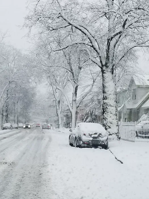 Elmwood Park Picture 8