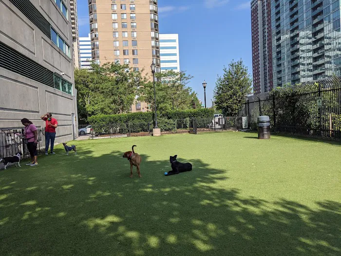 Newport Dog Park Picture 1