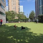 Newport Dog Park
