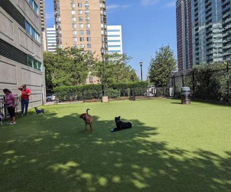 Newport Dog Park