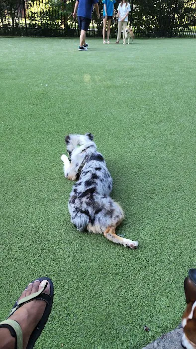 Newport Dog Park Picture 3