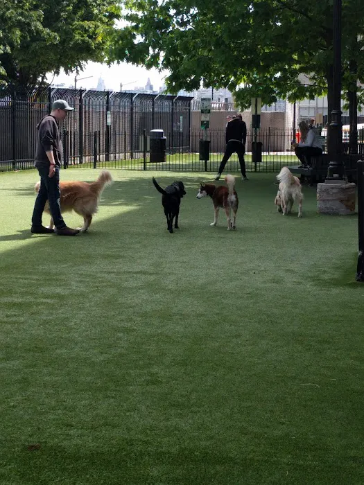 Newport Dog Park Picture 9