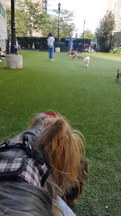Newport Dog Park Picture 4