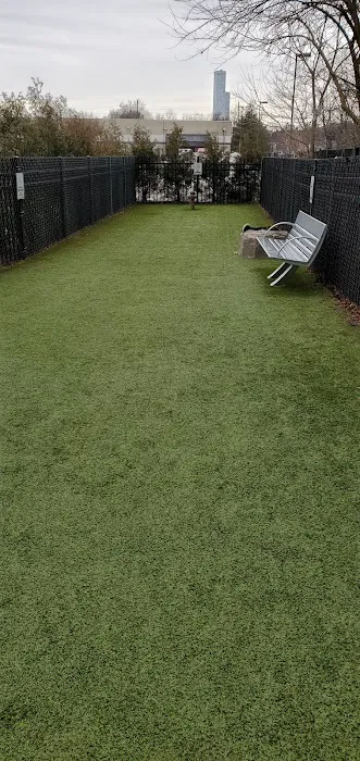 VYV Dog Park Picture 2