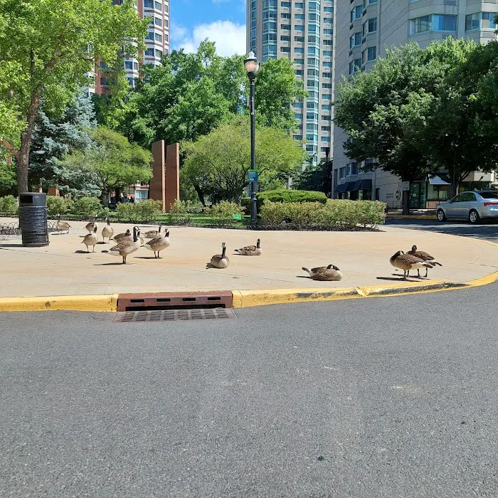 Newport Town Square Park Picture 10