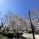 Newport Town Square Park