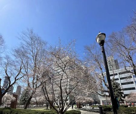 Newport Town Square Park
