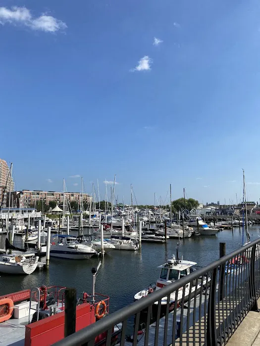 Marina Park Picture 5