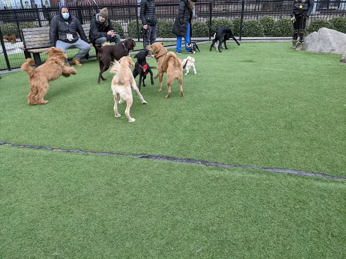 108 First Street Dog Park Picture 5