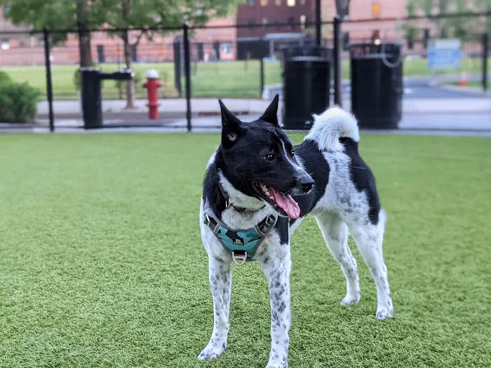 108 First Street Dog Park Picture 7