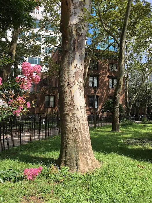 Paulus Hook Park Picture 9