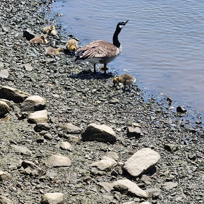 General Nathanael Greene Park Picture 8