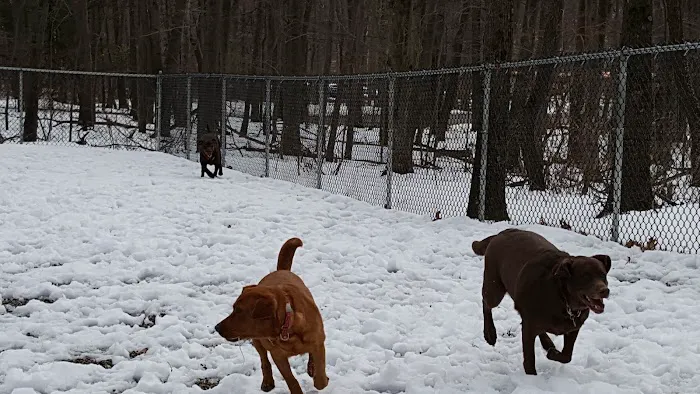 Jefferson Dogpark Picture 9