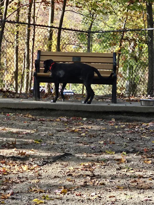 Jefferson Dogpark Picture 2