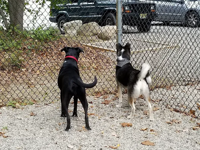 Jefferson Dogpark Picture 7