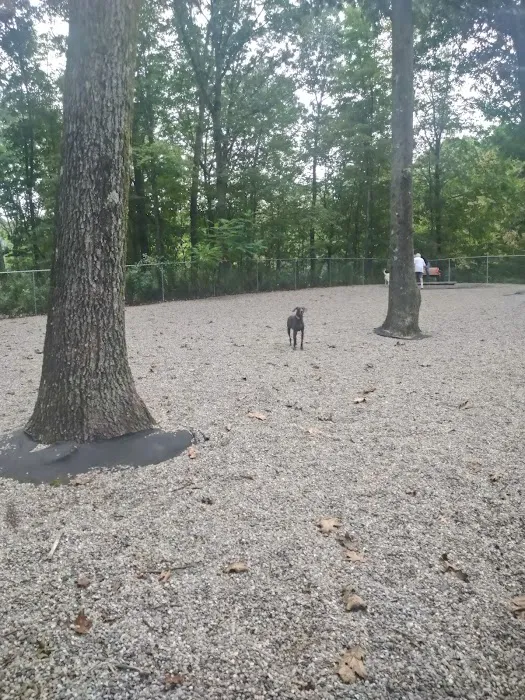 Jefferson Dogpark Picture 10