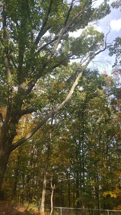 Jefferson Dogpark Picture 5