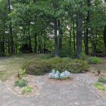 Robin Carlson Reading Garden