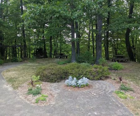 Robin Carlson Reading Garden