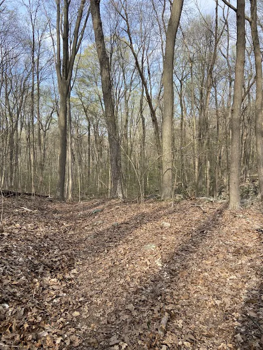 Lake Trail at Skylands Campus Picture 6