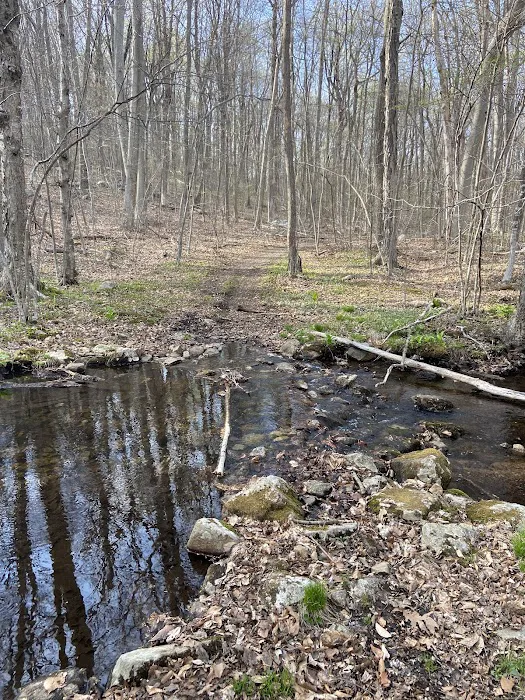 Lake Trail at Skylands Campus Picture 5