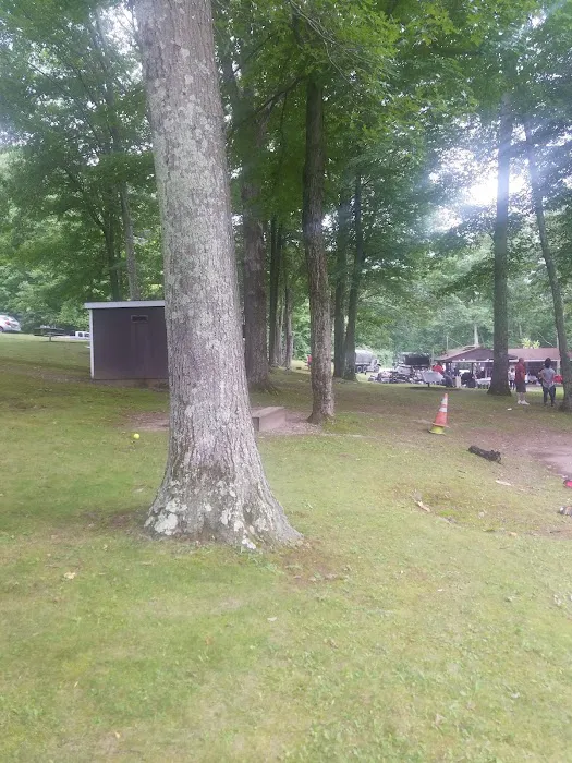 Partnership field Picture 10