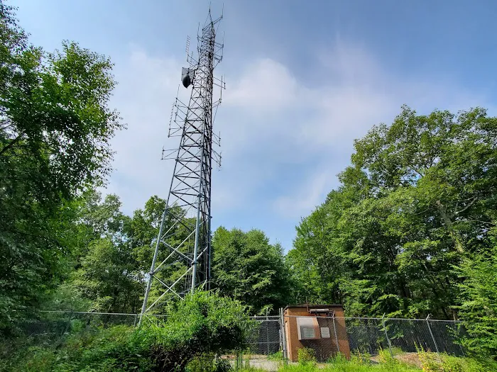 Fire Tower Trail Picture 8