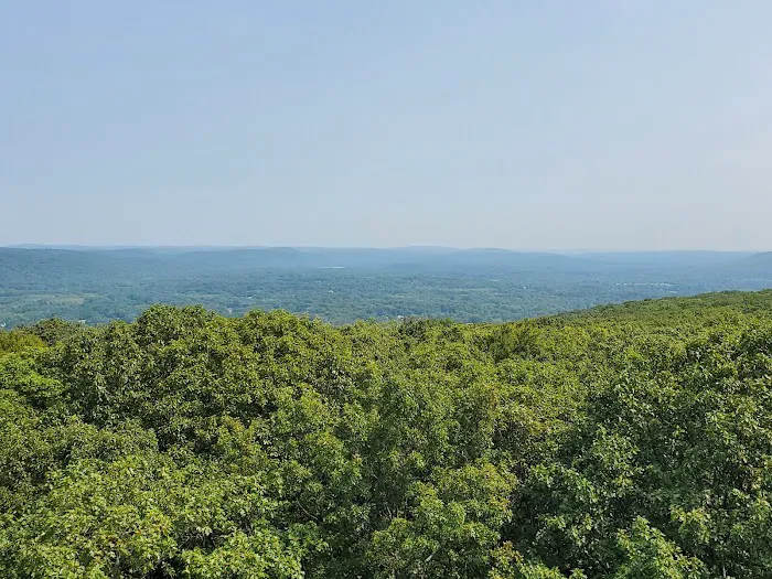 Fire Tower Trail Picture 9