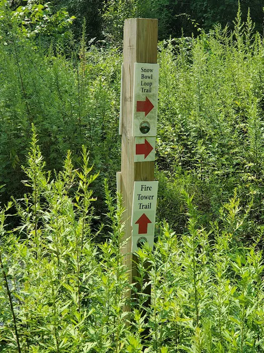 Fire Tower Trail Picture 1
