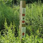 Fire Tower Trail