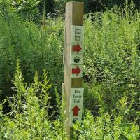 Fire Tower Trail ico