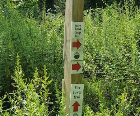Fire Tower Trail