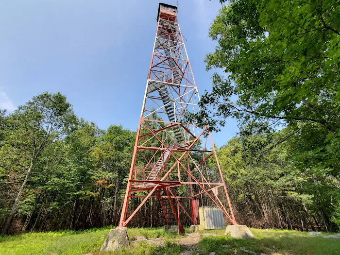Fire Tower Trail Picture 7