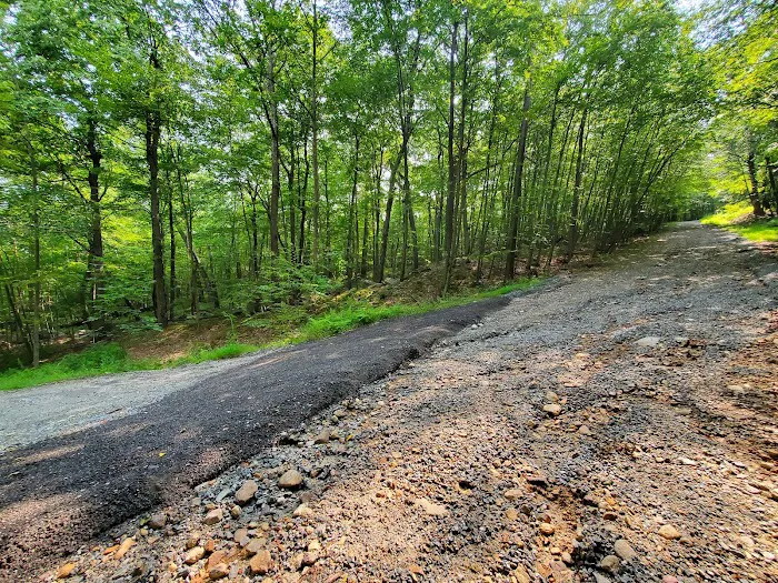 Fire Tower Trail Picture 4