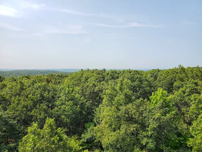Fire Tower Trail Picture 2